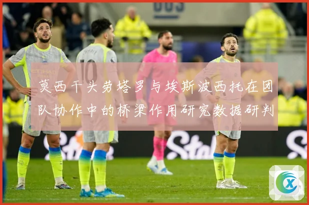 莫西干头劳塔罗与埃斯波西托在团队协作中的桥梁作用研究数据研判