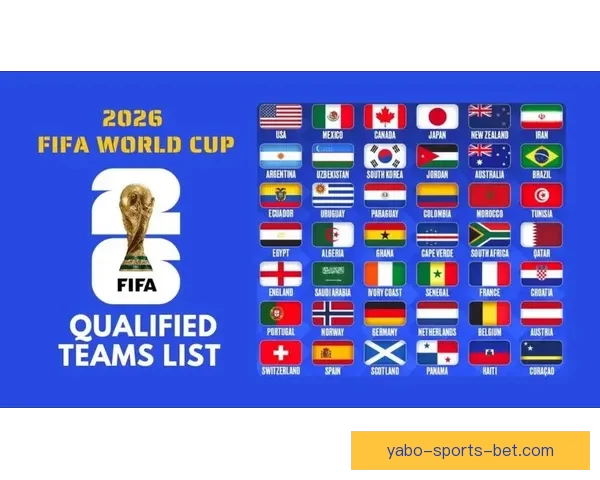 2026年世界杯赛程与参赛队伍大解析：全球盛宴引发足球热潮